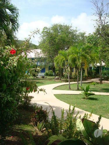 Nanny Cay Hotel Road Town  Buitenkant foto